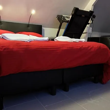 Apartment Logeerkamer Xxl 25 M2 Zemst