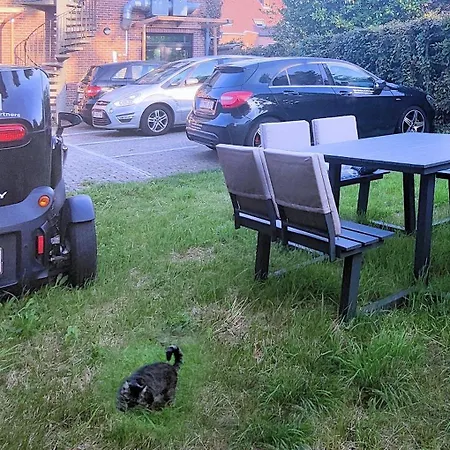 Logeerkamer Xxl 25 M2 Apartment